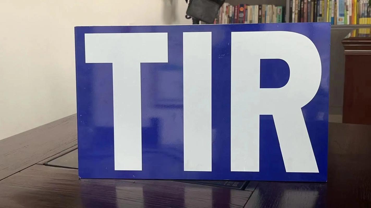 荷兰TIR整车双清关陆运专线：中欧卡航连接中国与荷兰的高效陆运通道